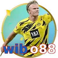 wibo88