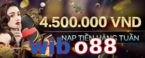wibo88