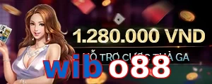 wibo88