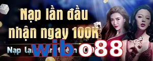 wibo88